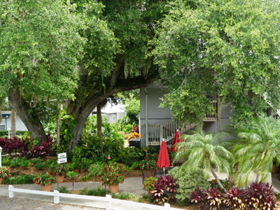 Side View of the Ship's Store Landscape